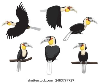 Bird Wreathed Hornbill Exotic Various Poses Cartoon Vector Character