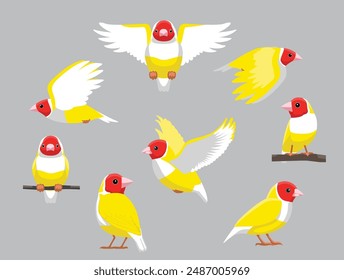 Bird Yellow Gouldian Finch Exotic Various Poses Cartoon Vector Character