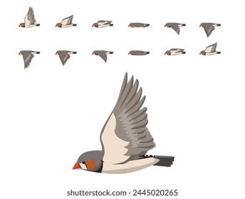 Bird Zebra Finch Flying Animation Sequence Vector de dibujos animados