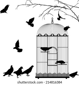 Birdcage and birds silhouettes over white background