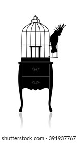 Birdcage and parrot