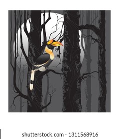 Bird,Hornbill At Night,Tree