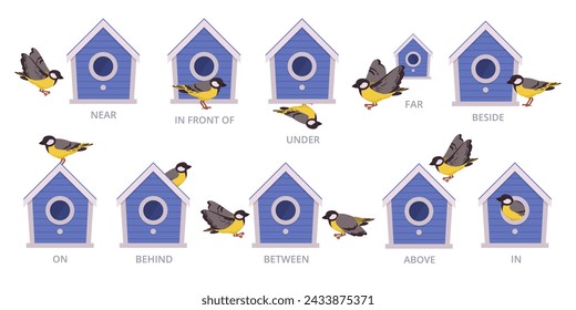 Birdhouse English prepositions. Birds position of bird house, above, around and above flat vector illustration set. Preposition school education