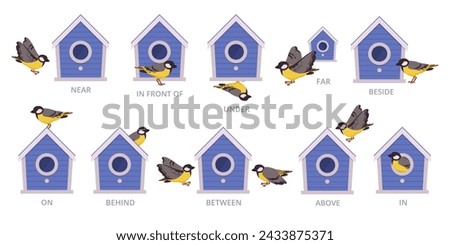 Birdhouse English prepositions. Birds position of bird house, above, around and above flat vector illustration set. Preposition school education