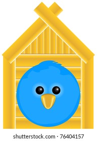 Birdhouse with sitting in it the blue bird