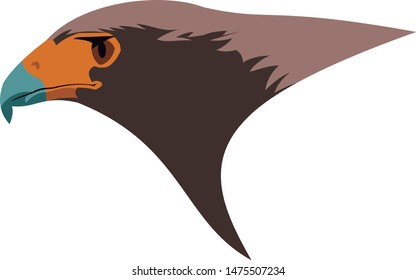 birdie hawk face vectorized in cartoon