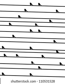 birdies on a wire. Vectorial black-and-white background