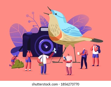 Birding, Ornithology Concept. Ornithologists Group Characters Using Binoculars, Camera and Special Equipment Watching Birds. Observation in Natural Habitats Hobby. Cartoon People Vector Illustration