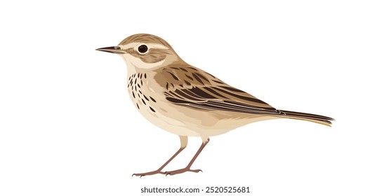 A bird,minimalistic flat vector illustration,plain white background