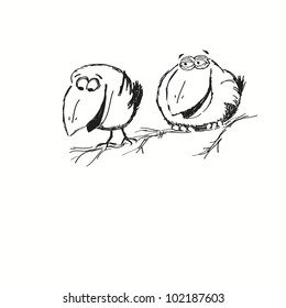 Birds
