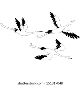 birds