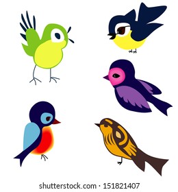 birds