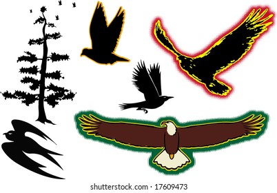 The birds