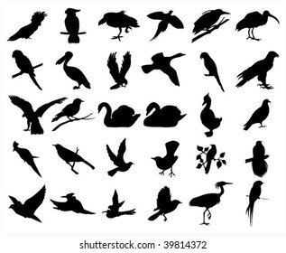 flying robin silhouette