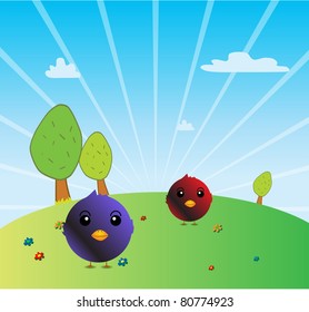 birds