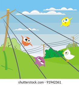 birds