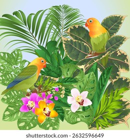Birds agapornis parrots tropical bird with tropical plants watercolor vintage vector editable hand draw