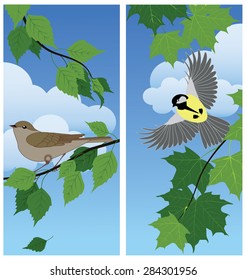 birds among the branches against the blue sky