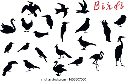 Birds, animal silhouette vector design elements on white background. Concept for icon, logo, print , cards 