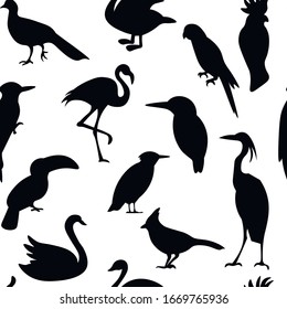 Birds, animal vector seamless pattern on white background. Concept for wallpaper, wrapping paper , cards