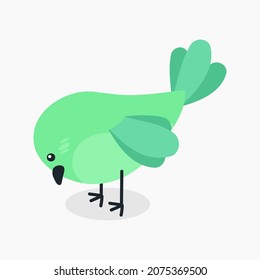  birds animal wildlife fly nature
