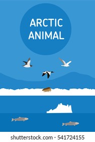Birds of the Arctic. The Seagull, North duck and the eider flying South. Vector drawing of a series of Arctic animals. Flat style illustration