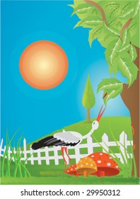 Birds area 3