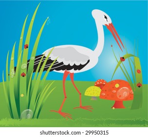 Birds area 4