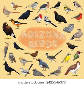 Birds Arizona Set Vector Illustration