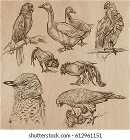 Birds around the World. Collection of an hand drawn vector illustrations. Freehand sketches. Line art. Each drawing comprise of a few layers of lines. Colored background is isolated. Easy editable.