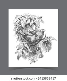 Birds Art Vector Free hand Illustration. 