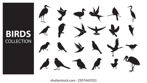 Birds and avian vector set
