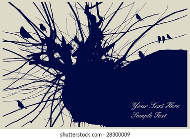 birds background