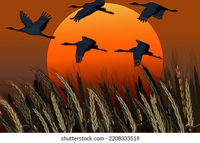 Birds in the background of the sun.A flock of flying birds against the background of a red sun and ears of corn in vector illustration.
