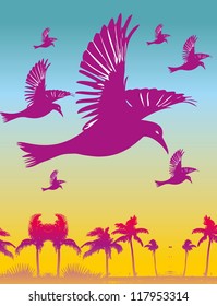 birds beach