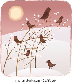 Birds and berries