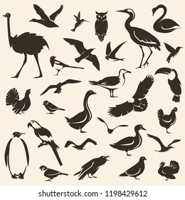 Birds big collection, stylized vector silhouettes, wildlife template