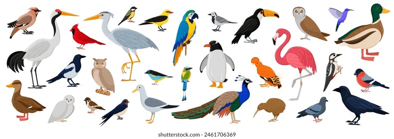 Conjunto grande de aves. Brillantes personajes voladores, fauna y animales exóticos. Especies de fauna con pájaro carpintero, flamenco, ganso, búho y pavo real. Colección de Vector aislada de criaturas de ornitología