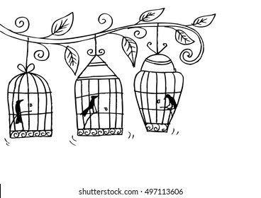 Birds and Birdcages