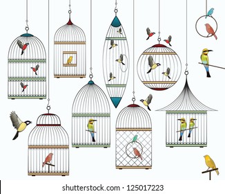 birds   birdcages collection