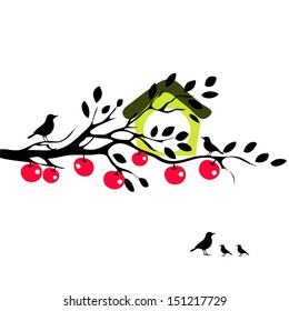 Birds and birdhouses silhouette on the branch