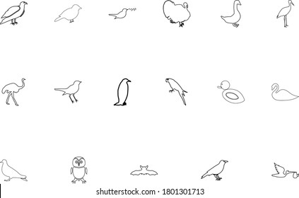 Birds black color set outline style