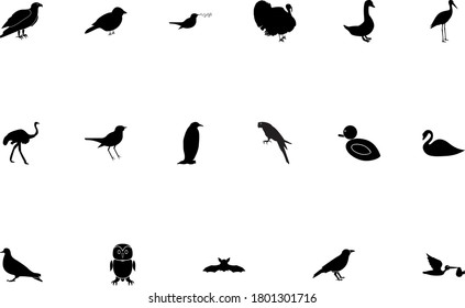 Birds black color set solid style