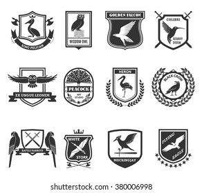 Birds black emblems collection with colibri hummingbird security system shield and golden falcon label abstract isolated vector illustration