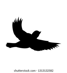 birds, black icon,vector illustration