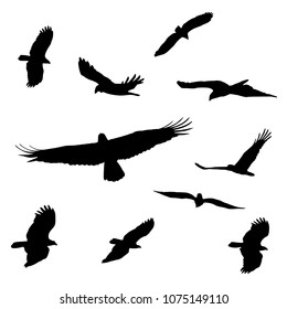 Birds Black Silhouette Pack (Bald Eagle - National Bird of the USA)