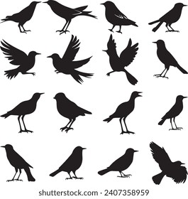 Bird's black silhouettes set. bird silhouettes on white background