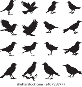 Bird's black silhouettes set. bird silhouettes on white background