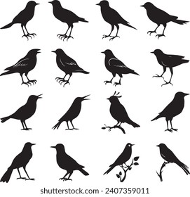 Bird's black silhouettes set. bird silhouettes on white background
