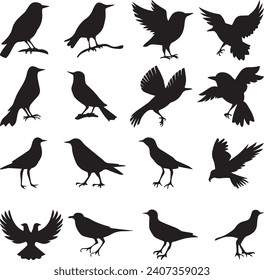Bird's black silhouettes set. bird silhouettes on white background